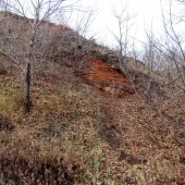 1fc722eb4cdedc8230dfa107da28c444