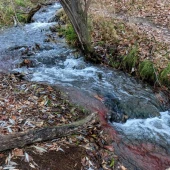 1ff5f0e0d8b82df4be4451d79f665656