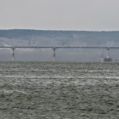 217b6edbdd5c8e56a3f4279162356bed