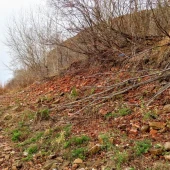 21b6e765ec62ba60ffd3f4120f42db56