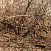 24b4c98e1e85ac35a2a43c0b13f93e2c