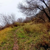 290920f0c80508c71aed689d8fac1d34