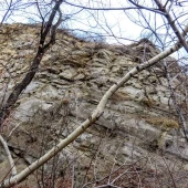 29aedd0f6a9b9113bd99700250214b95