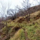 2ace78e3bbbafc667e928b62c76abac0