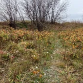 2d9b35eaacb883be9c46da0df7c38a13