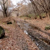 2e51ac6ccaa70076ec7817627aa92b52