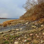 307543c705cb016c075d3d55342ef8f2