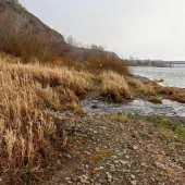 313d18646fc97952822ba25f83ad9c11