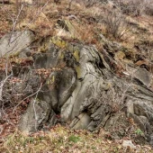 3377dc7f191ff47964fb6f20edf6b902