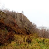 356a1f024f0b0c58eba64222381fca4c