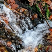 35be2eddc832ee0799115b32792dbb18