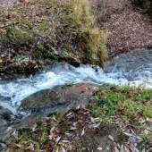 3624a386f03e972f8e9edd056044a9a2