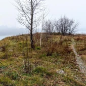 38b5575e2ca8bdf801976528e020f64b