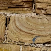 3965aaa20f1901cf60768e20f9ef6183