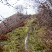 3c363dfa676e5b1fc96c6012416a9da3