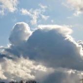 3df1e6aa91c43b92eba6282186caec84