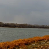 40fd85a9c97f654c22b5ec4e3f7b26ae