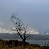 420fa52223c55302555e29c01293ad48