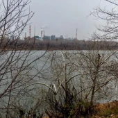 42495134e6404067b2838d1ba42c0378