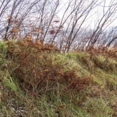 42f1d81b82443571136507c013362243