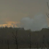 43d2454cf01596b32305e0f333345513