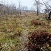 44e85ed83a486e1b7f0d67958db74cbf