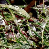 469e0b6bf6eed9b60104c7fba174fb0b