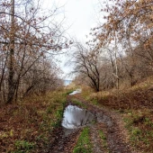 4987d12ac761d5fd6adfdba306500f74