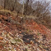 498e49aef8b3bb94b22d0fd4390df5d9