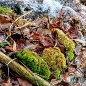 4a8b2403c05bc3e2f97140b0e38284c2