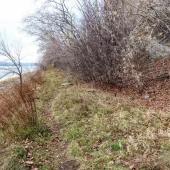 4af4d4f51701ceb51b779af27230dd8f