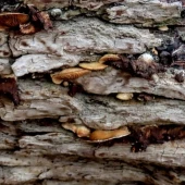 4b45b03ff14c73a2f9149f7725881c44