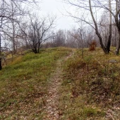 4bfda795f2e5bf2b5f408c980a638f7f