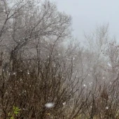 4db28bc33ab0f9d16e1d03afcbe0d403