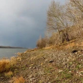 50874aeb27d62a78190c51a8fb395208