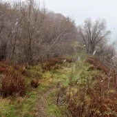 51895b99a8310410867095e6f77f2f22