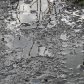 54580e029267e5df261a239f72094857