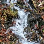 546f218f8fbdbf72142b5dabef55a504