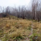 5592a618b70ba18923a563790e227c56