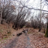 582e8fb3def1d51396010508f50ad60e