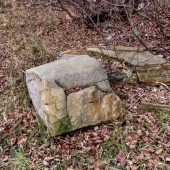 58db543f63ce3a6364d6c5d03f1c9325