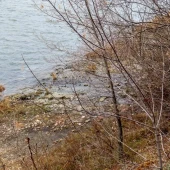 597d1593372ef71b7776fb767fa1cd1f