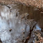 59fba461f6ec03f1c78381b61725751f