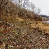 5c6e32ff8f1313329cc7d54db089f2be