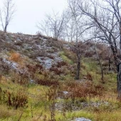 5ed0931b54073bfcd69d2d596778dc64