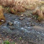 63f5ce7c4263c34cb48304e931f67680