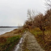 65a8ed7c529f5df78bb46e518bdcc917