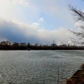 66481a9c07118502b54a17fb7de9d397