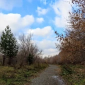 67e69581002d0aa6daa26b9ea6256098