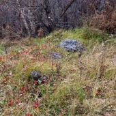 6916a52d8559e57f55f9b52ca5b48c05